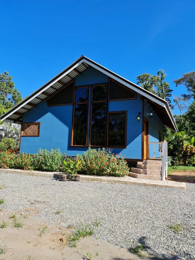 Casa Numu Villa Cahuita Eksteriør bilde